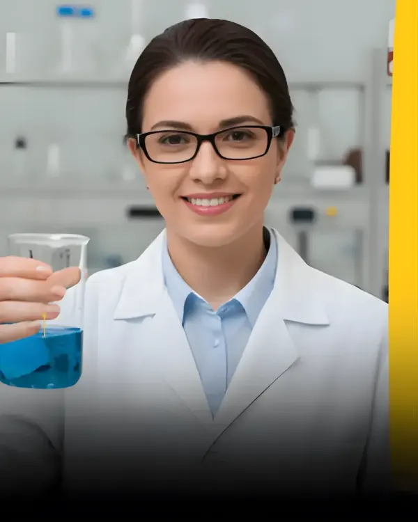 O que você vai dominar 